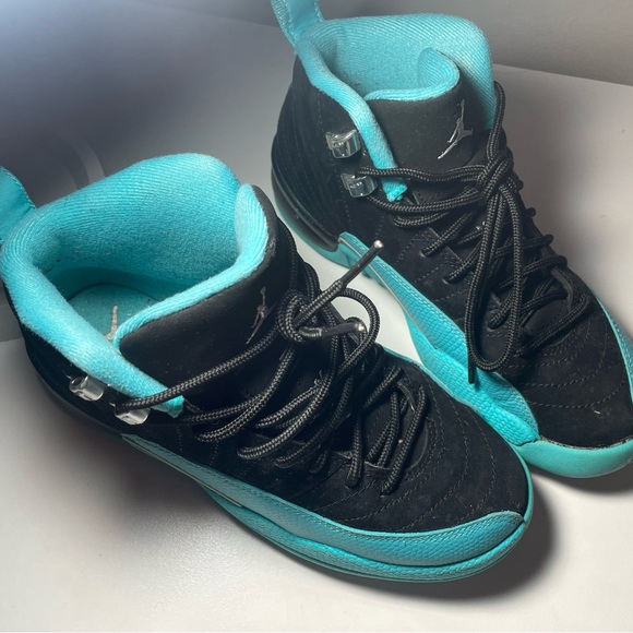 retro gamma blue air jordan 12 teal
